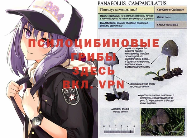 синтетический гашиш Горно-Алтайск