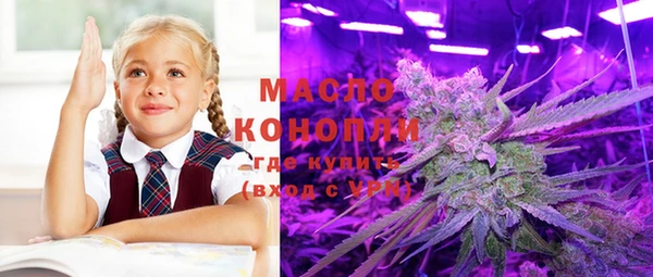 прущий лед Горняк